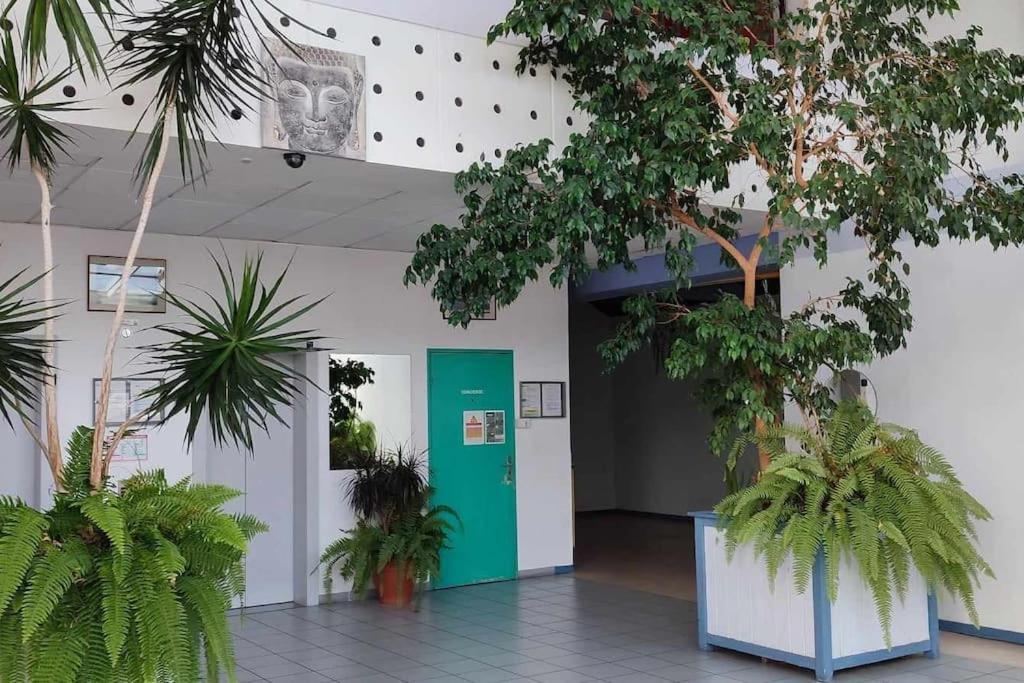 Studio Calais Front De Mer-Le Cocon Du Dragon-Classe 3 Etoiles Exterior foto